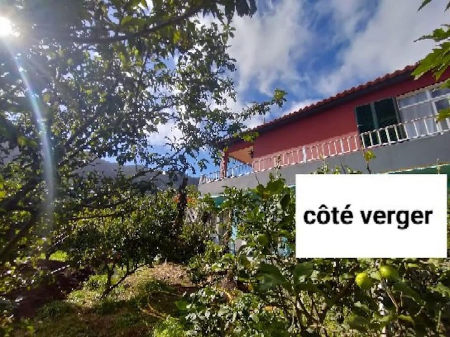Sea Mountain House Βίλα Machico  Εξωτερικό φωτογραφία