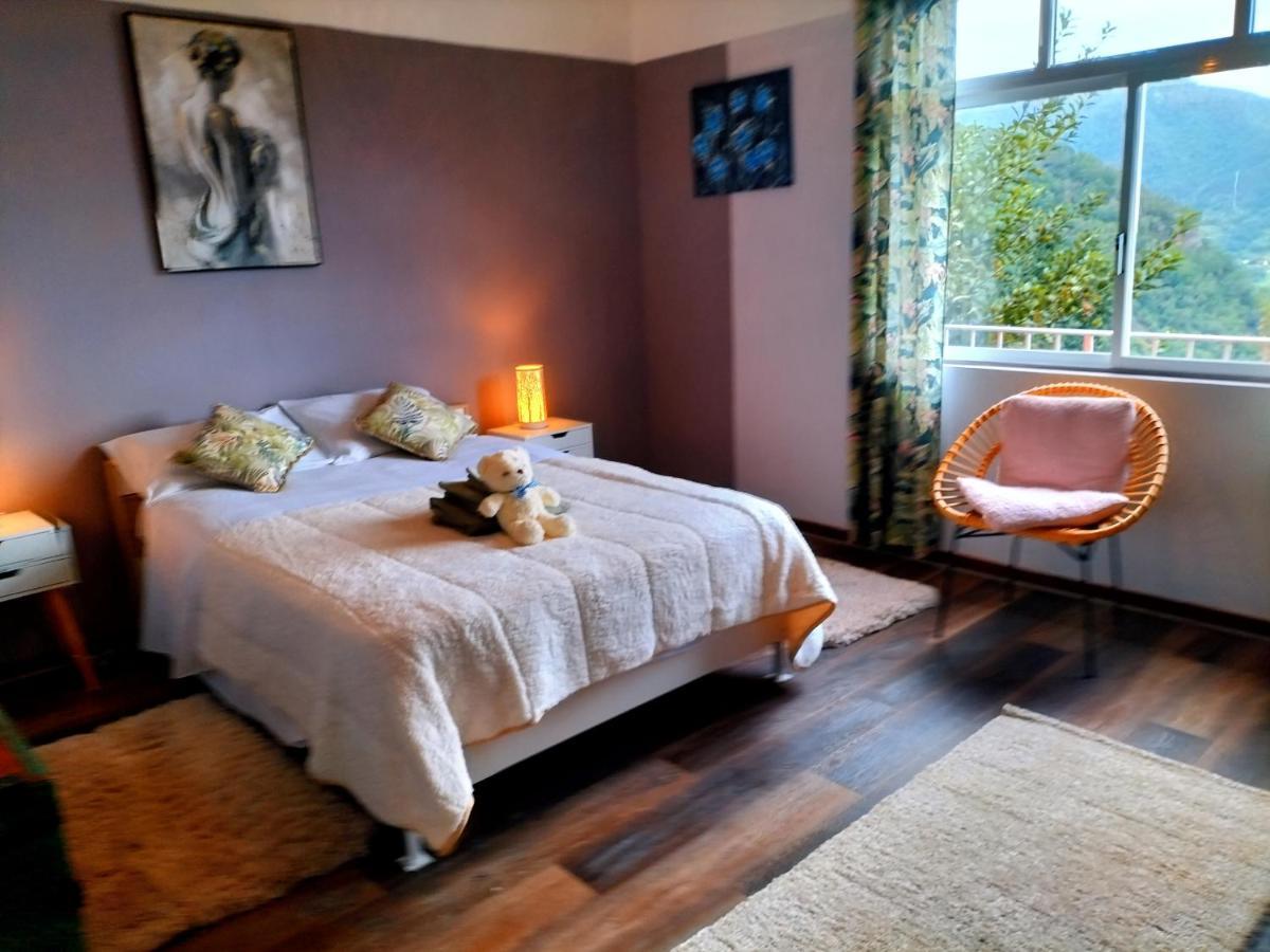 Sea Mountain House Βίλα Machico  Εξωτερικό φωτογραφία