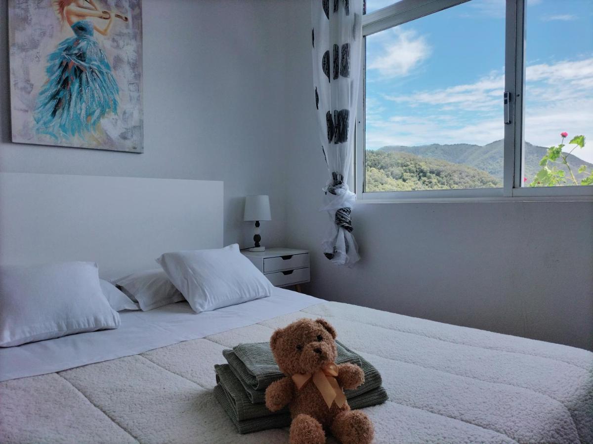Sea Mountain House Βίλα Machico  Εξωτερικό φωτογραφία