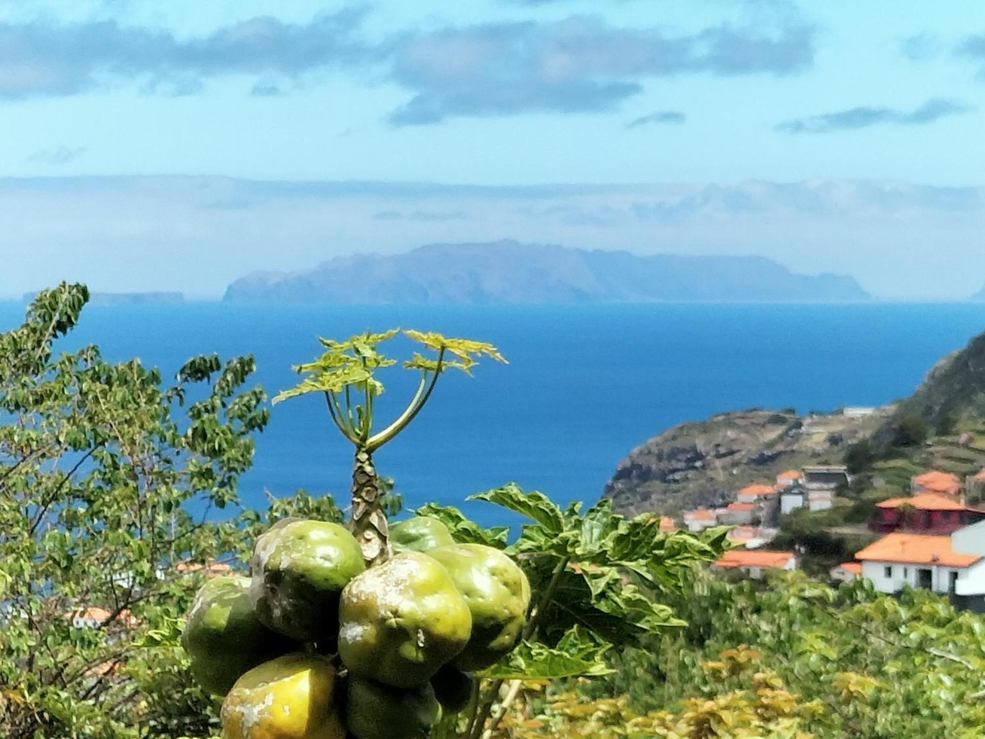 Sea Mountain House Βίλα Machico  Εξωτερικό φωτογραφία